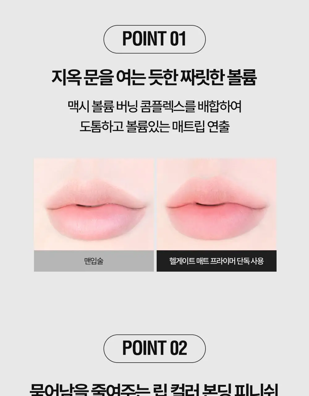 [리뉴얼/NEW] 홀리카홀리카 데빌스 플럼퍼 상세페이지 8